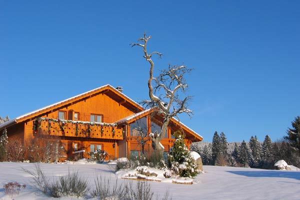 B&B Chalet L'Epinette 제라르메르 외부 사진